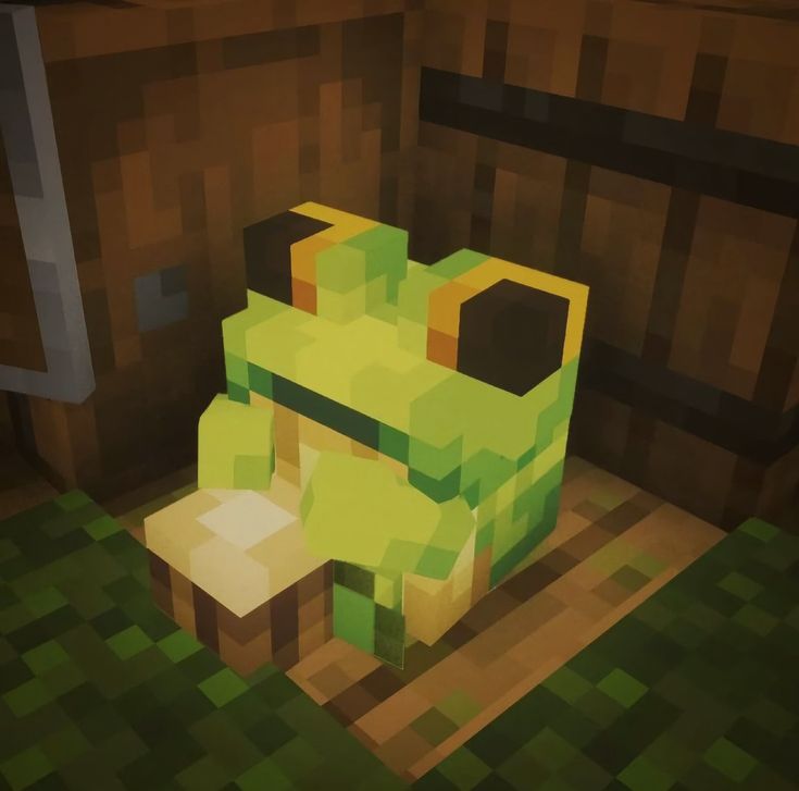 No Context Frogs (@nocontextfrogs) on Twitter photo 
