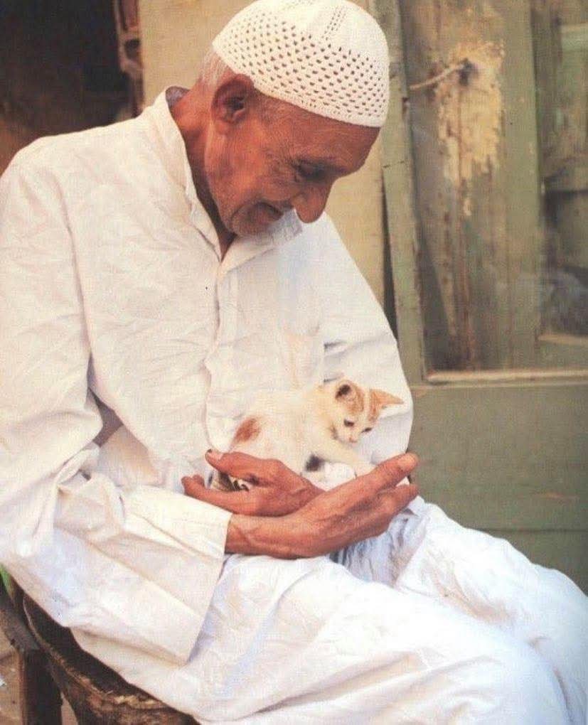 "الأسلوب رزق ، رحم الله من رُزق بحسن الكلام ولين القلب ."🤍