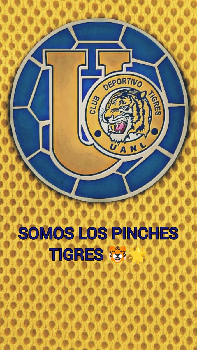 Con la FE INTACTA ahí vamos de nuevo somos Los PINCHES TIGRES 🐯🌟 #Tigres