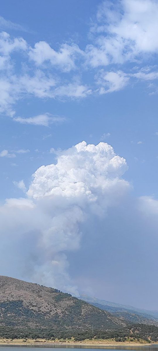 Matefireman tweet media