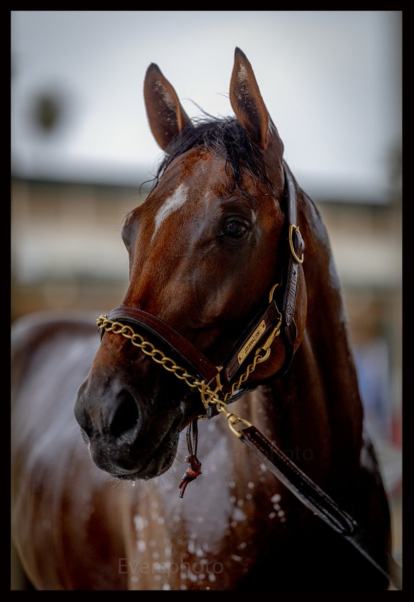 Finally made a portrait of Journalism.