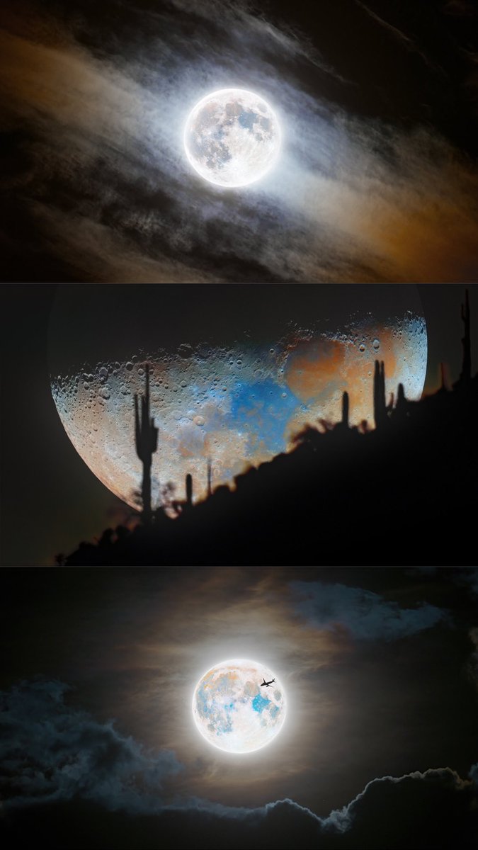 Andrew McCarthy tweet media