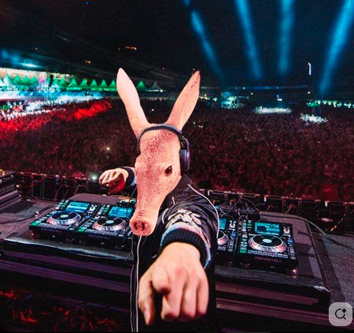 What Saturday night in the burrow looks like 🎧

Ants complaining it's too loud

Fck those mfers - HIGHER 🎵