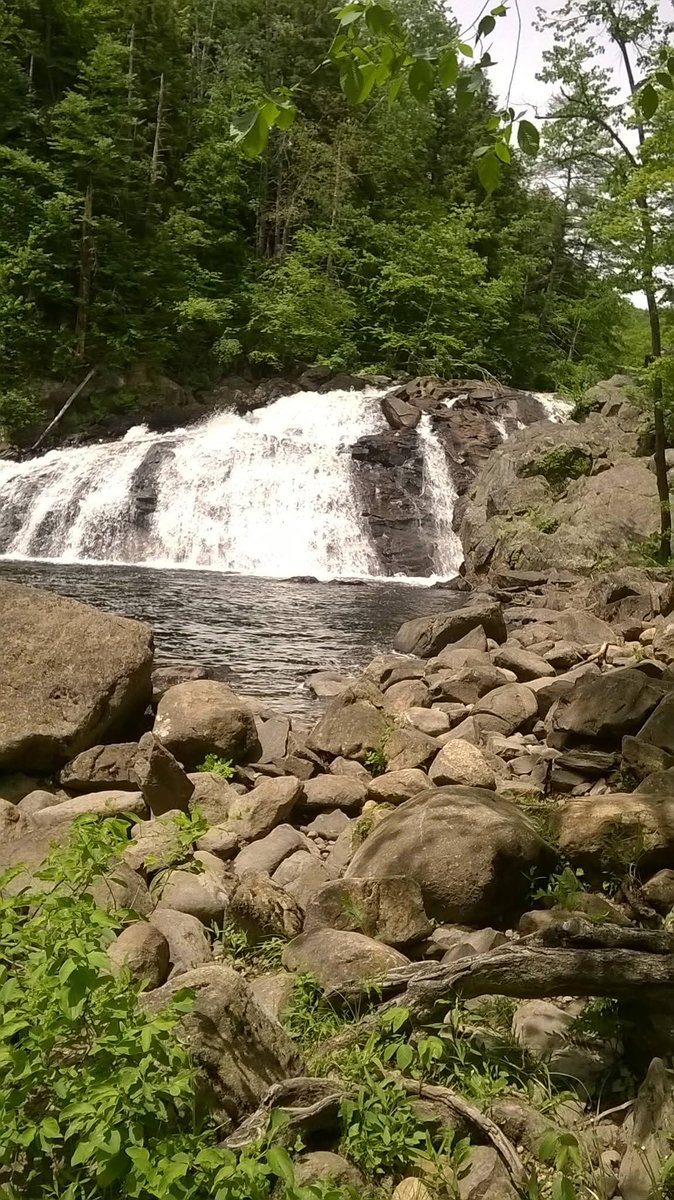 philMclorick's tweet photo. Profile Falle
 Bristol, NH 03243
https://t.co/ULC5rcsdDO https://t.co/ASOdOjqR7Z