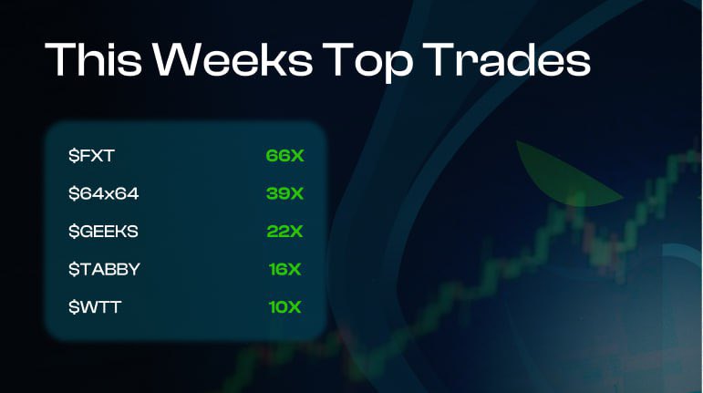 syncieman's tweet photo. Let’s make it happen with $STLKR @CryptoTony__ 

@MarketStalker_x helps us catch these gems early before the pump 🔥

you need to check out $STLKR and it’s crazy utility Legend

@MarketStalker_x is next level and helps us get early entry on various ETH tokens.

Utility have been around for a year now, chads printing daily, KYC approved by @AssureDefi and team generated $60k in revenue.

Team have been cooking and bots been upgraded. Multi chain tracking next and you won’t want to miss out @CryptoTony__