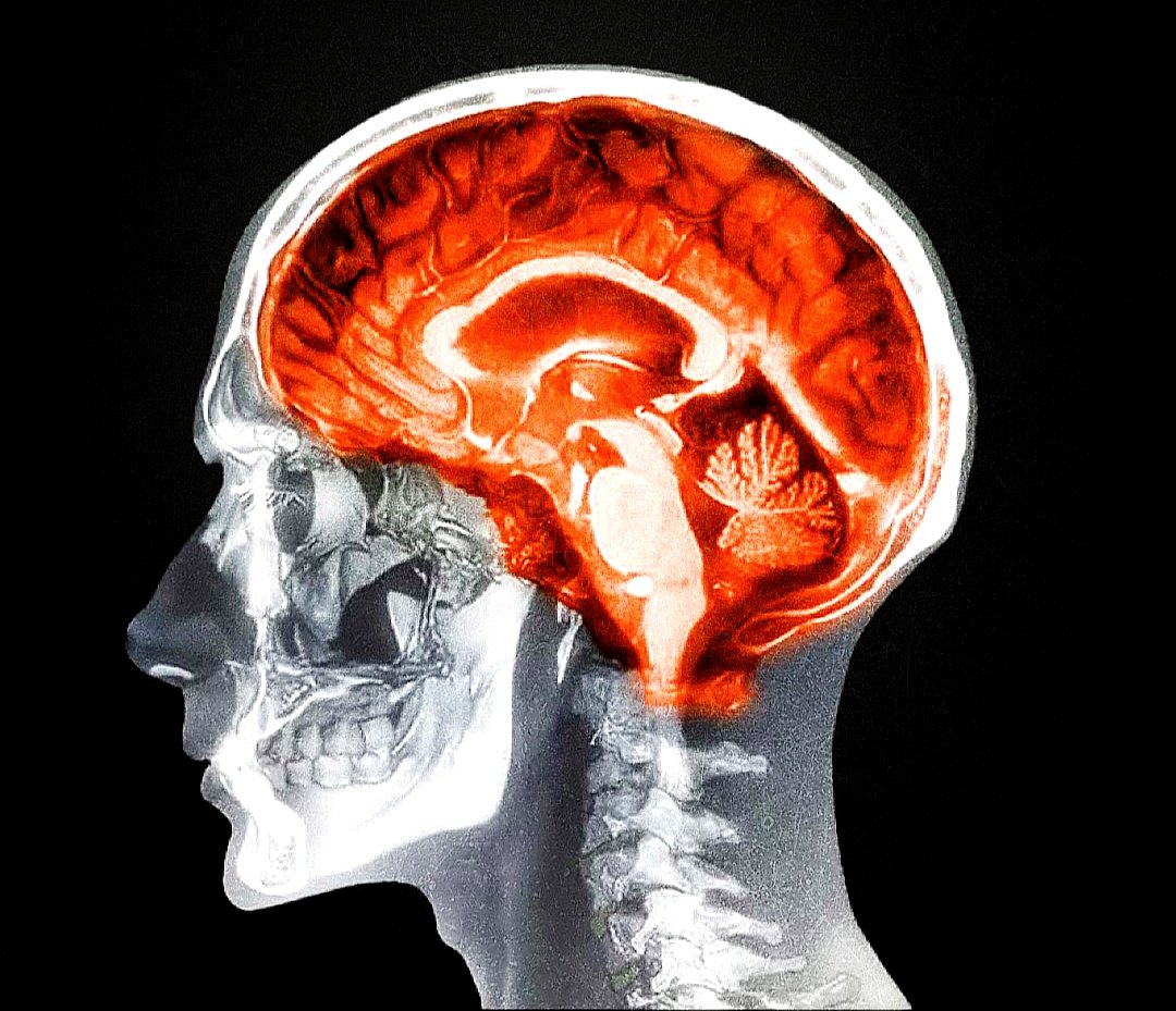 NarendraZ2E's tweet photo. The best way to beat PROCRASTINATION, Science Found is - 

Trap your "Logical Brain" (limbic brain)
into Systems. https://t.co/82vT4XYNVi