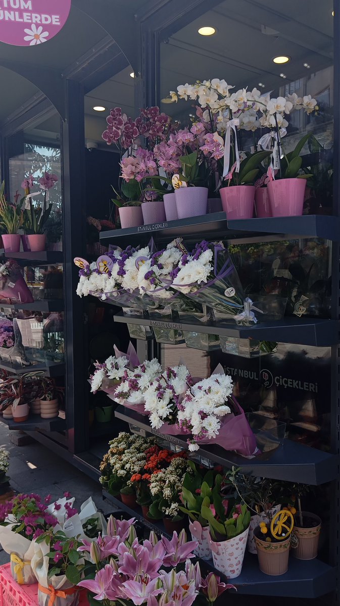 Güzel düşün ki güzel olsun, Aklında bahar olunca fikrin çiçek açar.🌷