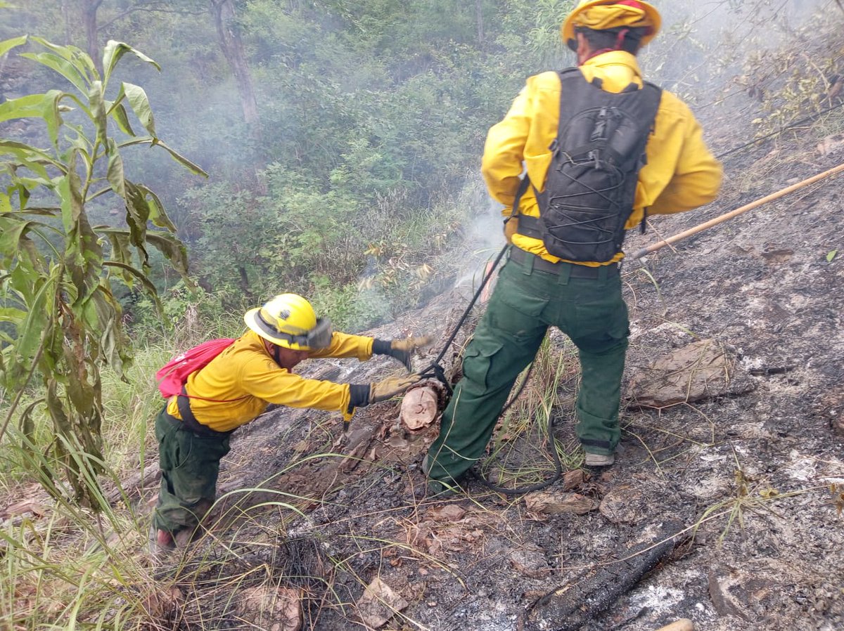 ConredGuatemala's tweet image. #ElProgreso Brigadistas de la SE-CONRED reportan el 80% de control y 60% de liquidación sobre incendio registrado en aldea Piedra Blanca, San Cristóbal a Acasaguastlán.

Fotografías: Sistema CONRED