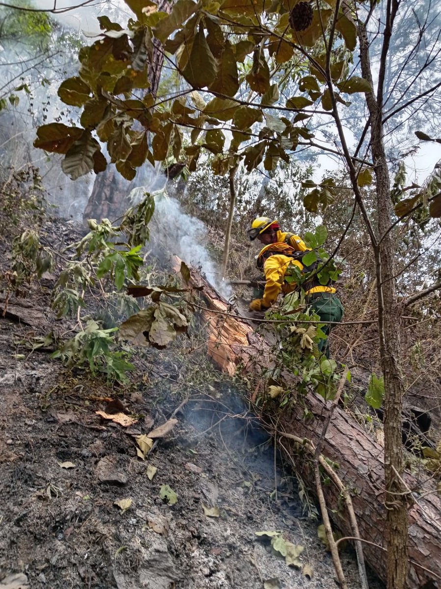 ConredGuatemala's tweet image. #ElProgreso Brigadistas de la SE-CONRED reportan el 80% de control y 60% de liquidación sobre incendio registrado en aldea Piedra Blanca, San Cristóbal a Acasaguastlán.

Fotografías: Sistema CONRED