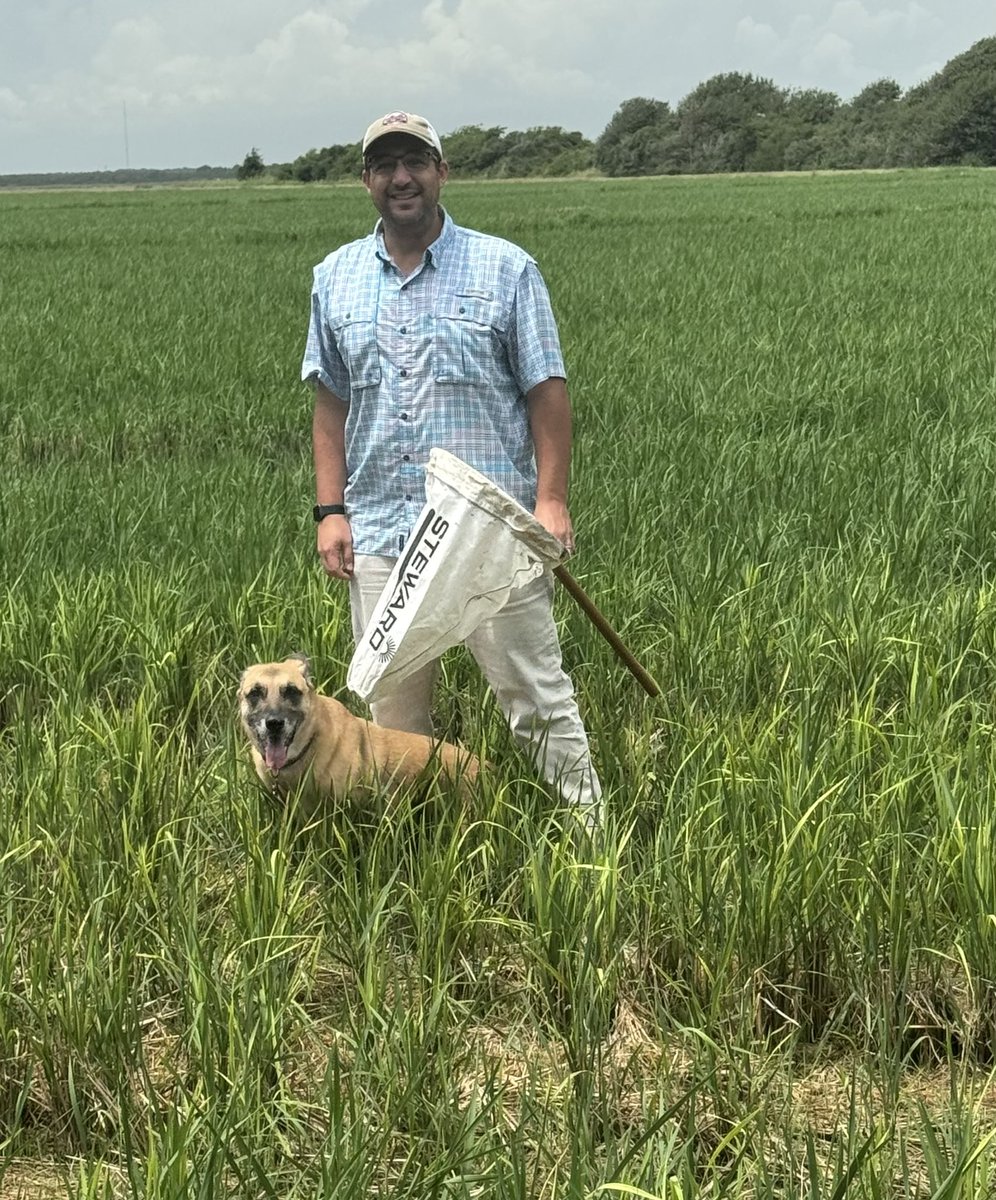 My good girl ran straight to the hoja blanca virus spot and relieved herself 😂