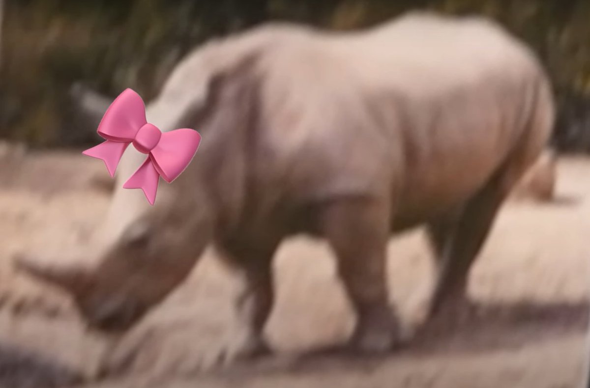 اذا ما وصلت ال 500 خلال اسبوعين رح اعتزل تويتر نهائيا