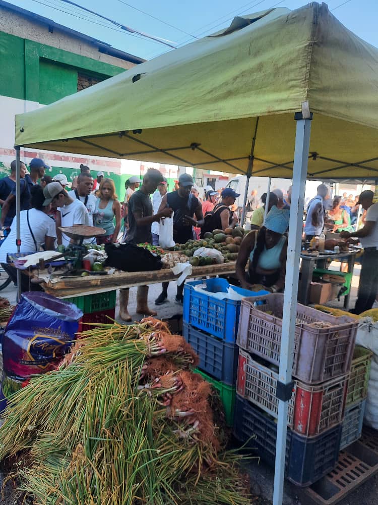 Ministerio de la Agricultura de Cuba (@minagcuba) on Twitter photo Feria Agroalimentaria en el Consejo Popular Luyano, con la participación de las OSDE de la Agricultura y los actores económicos del municipio, con variadas ofertas para la población en el Municipio de 10 de octubre. #AgriculturaCubana <a href="/MinagCuba/">Ministerio de la Agricultura de Cuba</a> <a href="/YdaelB/">Ydael Pérez Brito</a> <a href="/Rodolfo38125048/">Rodolfo Rodriguez Expósito</a> Feria Agroalimentaria en el Consejo Popular Luyano, con la participación de las OSDE de la Agricultura y los actores económicos del municipio, con variadas ofertas para la población en el Municipio de 10 de octubre. #AgriculturaCubana <a href="/MinagCuba/">Ministerio de la Agricultura de Cuba</a> <a href="/YdaelB/">Ydael Pérez Brito</a> <a href="/Rodolfo38125048/">Rodolfo Rodriguez Expósito</a>