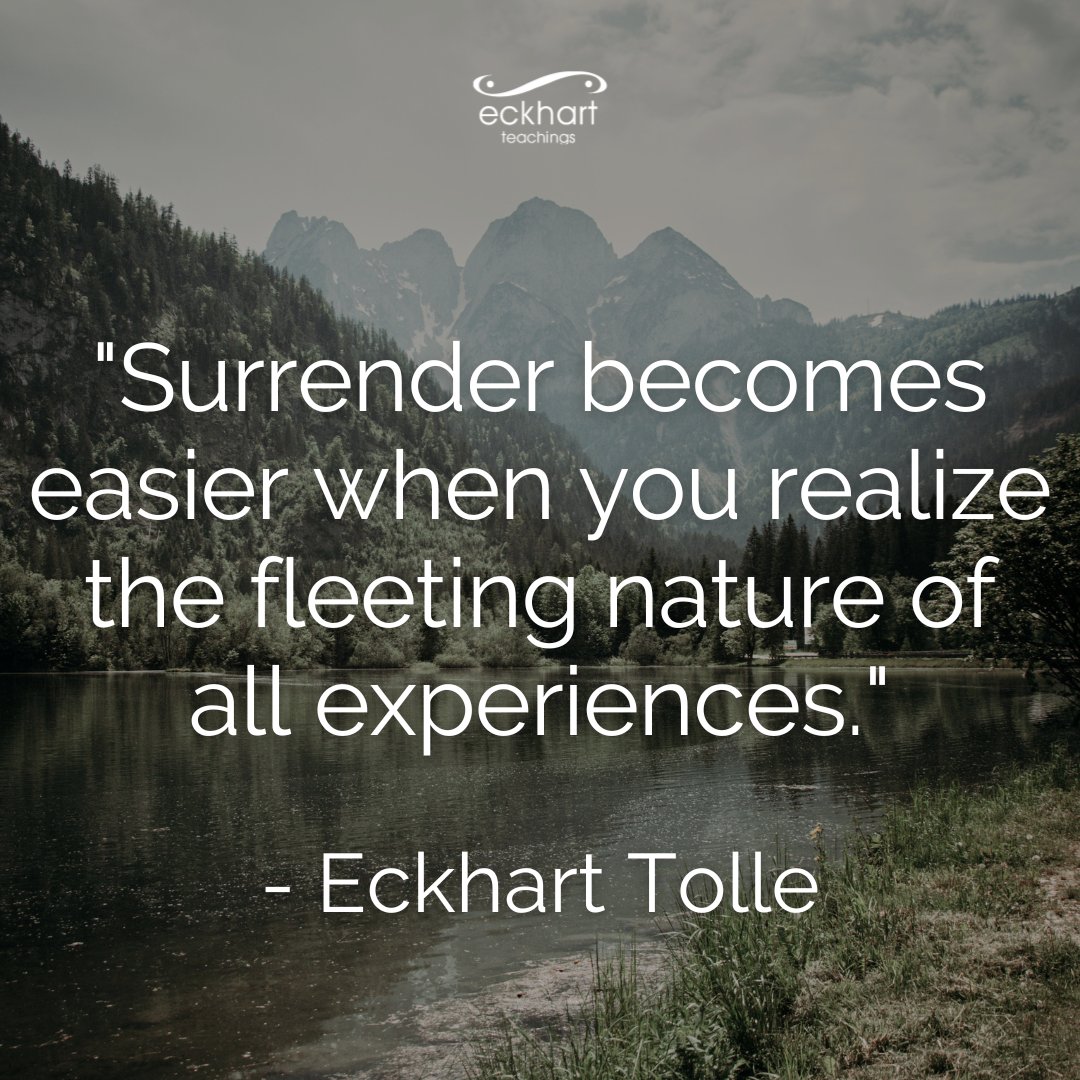 Eckhart Tolle tweet media