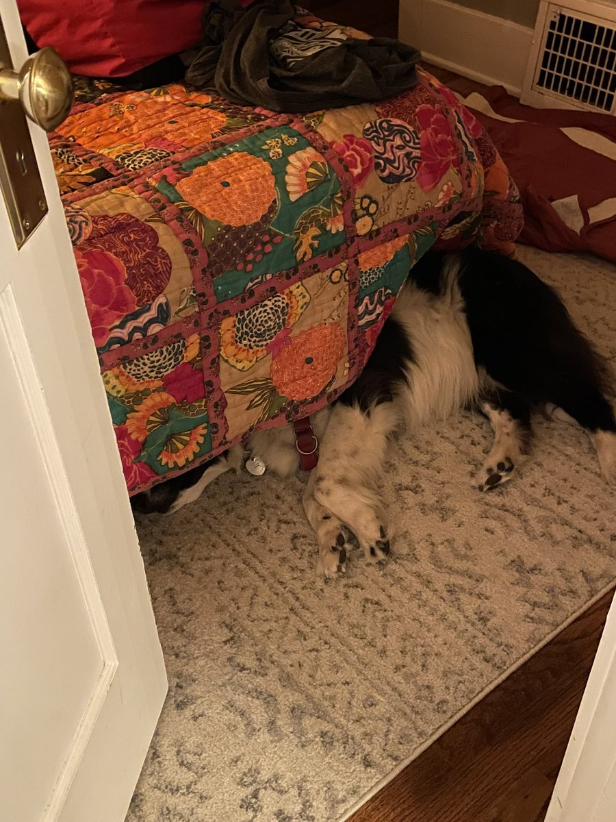 Vanessa Ribeiro-Lawton, M.A. tweet media