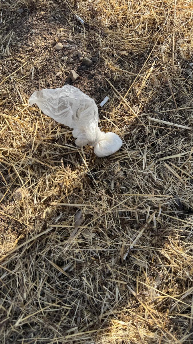 UYUŞTURUCU MADDE TİCARETİ ŞÜPHELİSİ 1 ŞAHIS ADLİ KONTROL KARARIYLA SERBEST