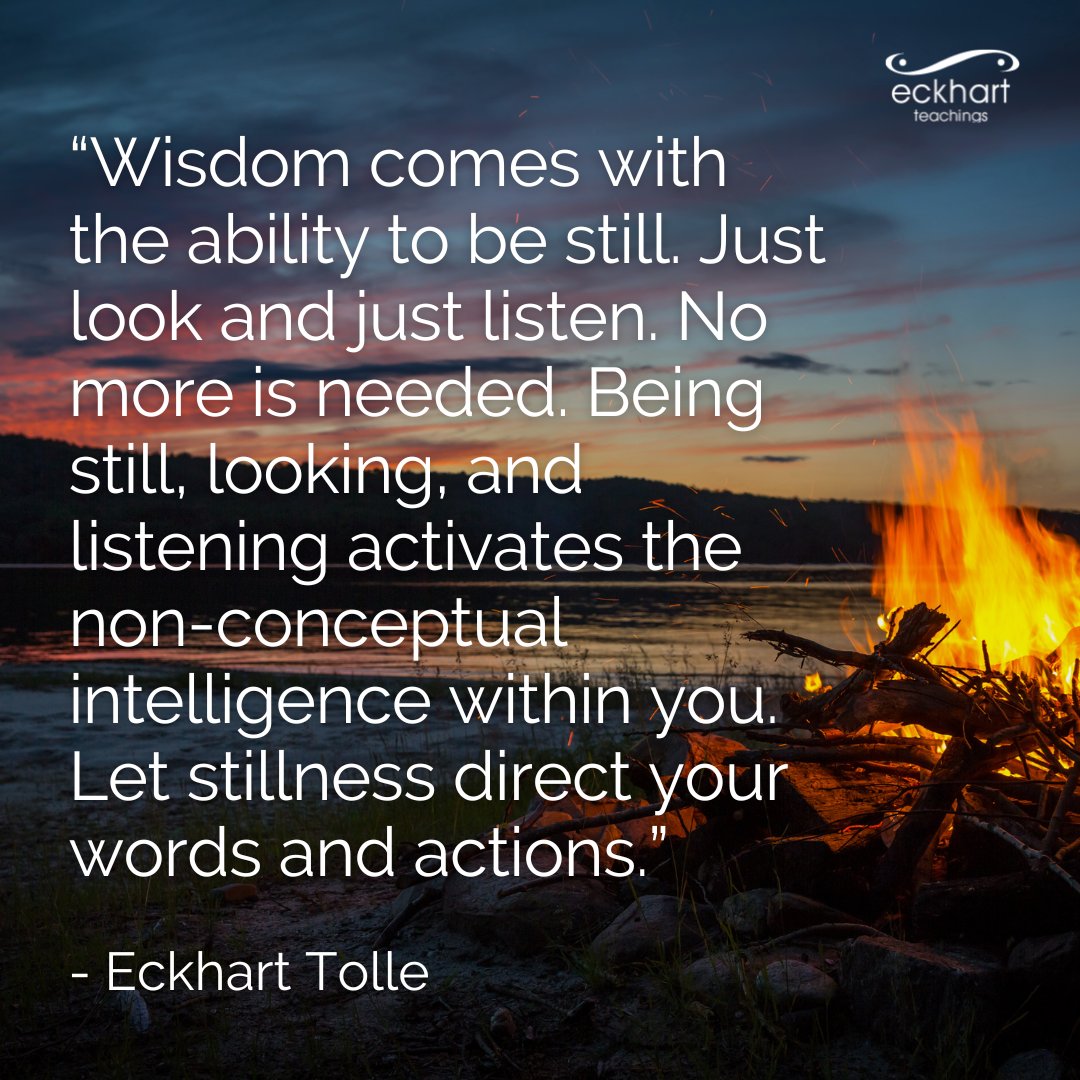 “Wisdom comes with the ability to be still. Just look and just listen. No more is needed. Being still, looking, and listening activates the non-conceptual intelligence within you. Let stillness direct your words and actions.” - Eckhart Tolle
