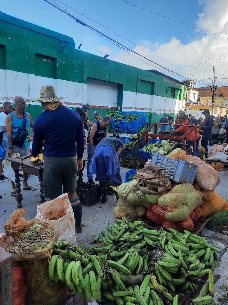 Rodolfo Rodriguez Expósito (@rodolfo38125048) on Twitter photo Feria Agroalimentaria en el Consejo Popular Luyano, con la participación de las OSDE de la Agricultura y los actores económicos del municipio, con variadas ofertas para la población en el Municipio de 10 de octubre. #AgriculturaCubana <a href="/MinagCuba/">Ministerio de la Agricultura de Cuba</a> <a href="/YdaelB/">Ydael Pérez Brito</a> <a href="/LuisMonteroMus1/">Luis Montero Mustelier</a> Feria Agroalimentaria en el Consejo Popular Luyano, con la participación de las OSDE de la Agricultura y los actores económicos del municipio, con variadas ofertas para la población en el Municipio de 10 de octubre. #AgriculturaCubana <a href="/MinagCuba/">Ministerio de la Agricultura de Cuba</a> <a href="/YdaelB/">Ydael Pérez Brito</a> <a href="/LuisMonteroMus1/">Luis Montero Mustelier</a>