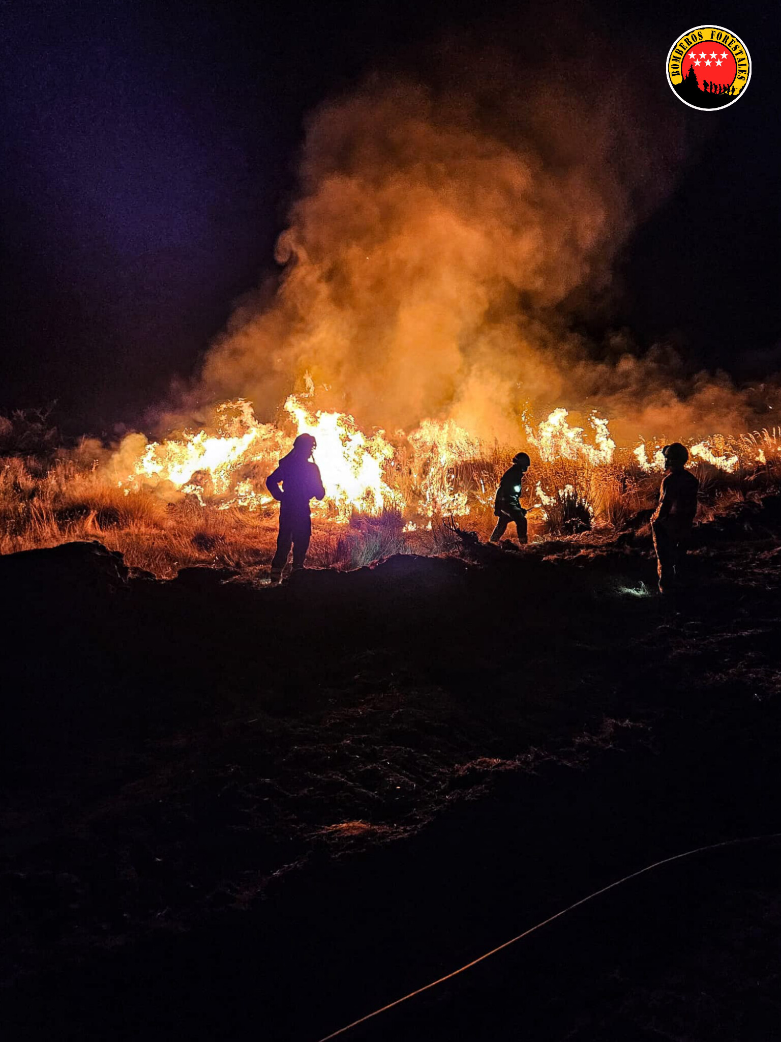 Foto cedida por Bomberos Forestales CAM