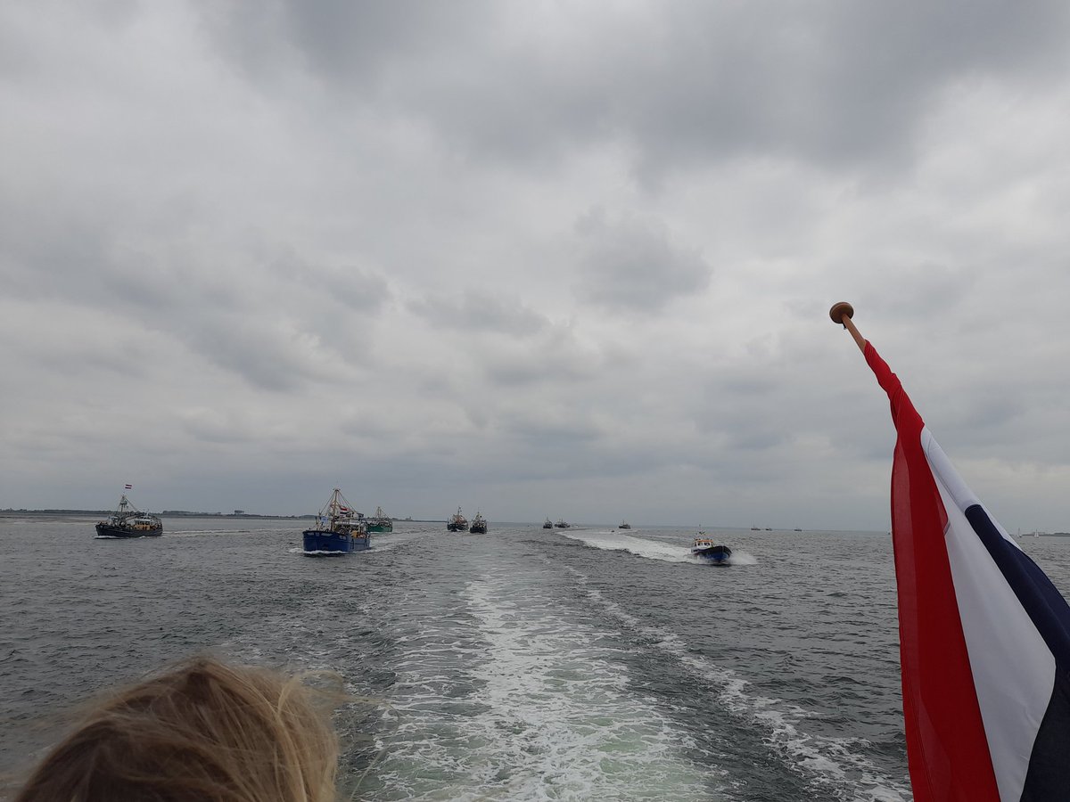 Irene de Bree tweet media