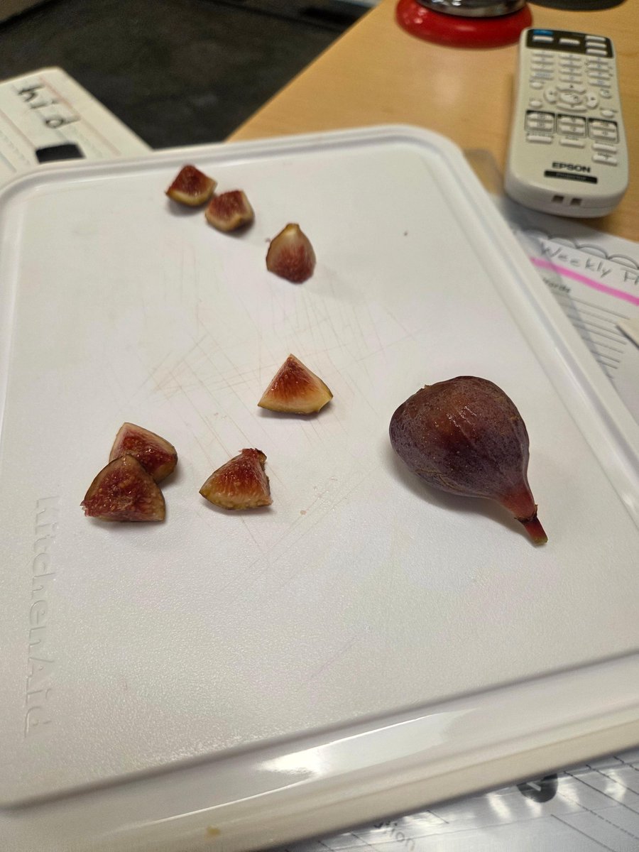 What fruit is a three-letter word with a short i? Fig! 😃

Mrs. Betts’ students had the chance to try figs last week. It was wonderful to see so many willing to taste something new! ✨

#WatchSunmanDearborn