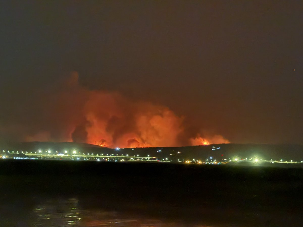 by_munzevi's tweet photo. Yanan sadece ağaçlar değil
Bir neslin kanlarıyla suladığı tarih yanıyor
Kimselerin görmediği topraklar değil
Anaların evlatlarını kurban ettiği namus yanıyor.
#GeliboluYanıyor
#ÇanakkaleYanıyor https://t.co/12psGetXrY