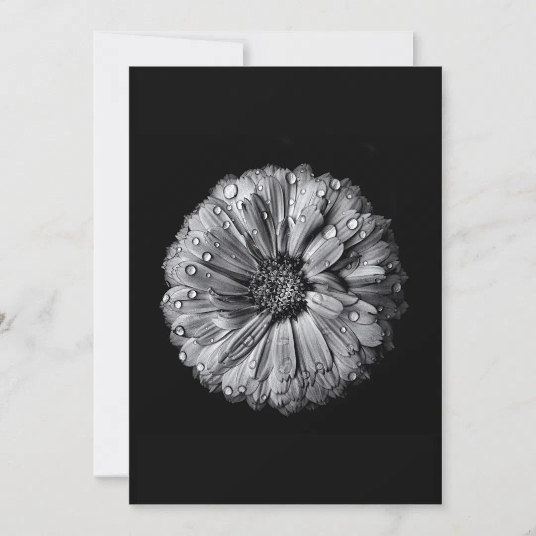 learningcurveca's tweet image. Black And White Flowers 10 Greeting Cards by The Learning Curve Photography on @zazzle

#greetingcards #zazzle #zazzlemade #flowers #nature #blackandwhitephotography #originalphotography #photography #photoproject