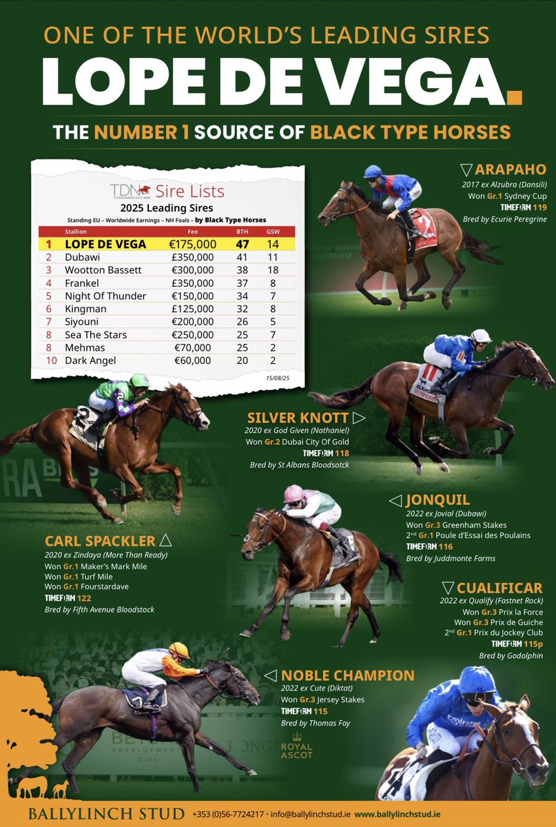 saint_pair's tweet image. 📍Look at Stats for mares by Dansili when bred to Lope de Vega @BallylinchStud 11 BlackType winners (13%) whose ARAPHAO GR1w, SWEET LADY GR1w, CAPLA TEMPRESS GR1w, CADILLAC GR2w.
Don’t forget our colt 🟠⚪️ By Lope de Vega with Dansili mare, lot 9️⃣4️⃣, a fantastic mover🕺.