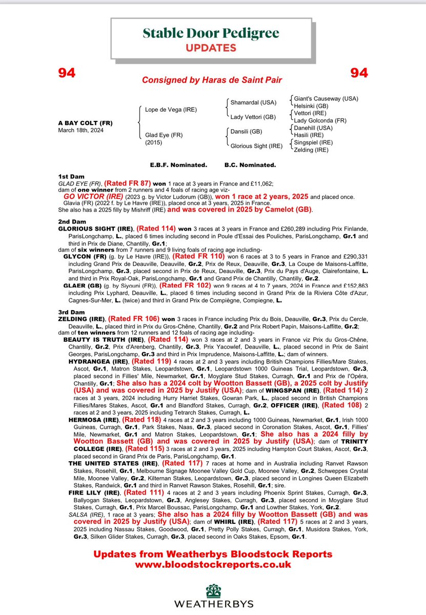 saint_pair's tweet image. 📍Look at Stats for mares by Dansili when bred to Lope de Vega @BallylinchStud 11 BlackType winners (13%) whose ARAPHAO GR1w, SWEET LADY GR1w, CAPLA TEMPRESS GR1w, CADILLAC GR2w.
Don’t forget our colt 🟠⚪️ By Lope de Vega with Dansili mare, lot 9️⃣4️⃣, a fantastic mover🕺.