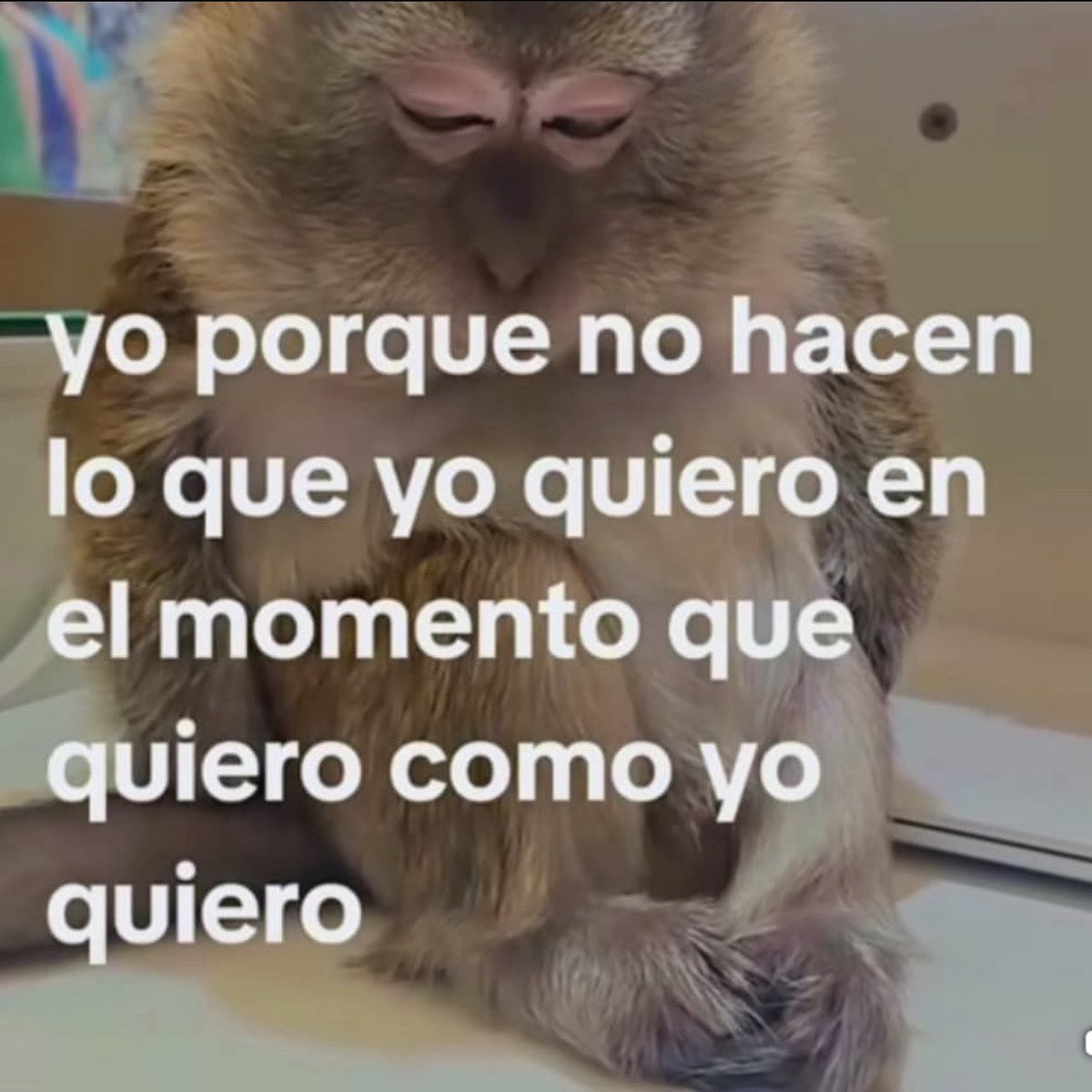 conoloracigarro's tweet photo. https://t.co/VyJQgoY1yx
