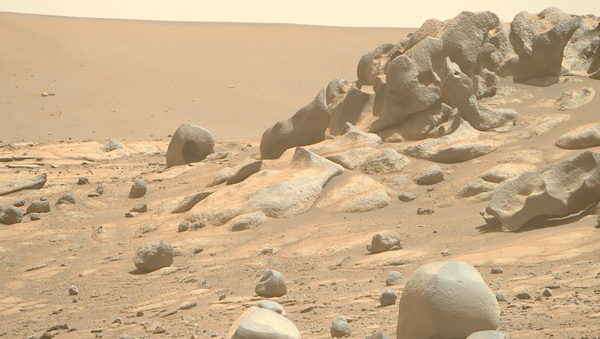 Signs Of Recent Life On Mars Could Be Detected Using New Simple Test
astrobiology.com/2025/08/signs-… #astrobiology #Mars #biosignature