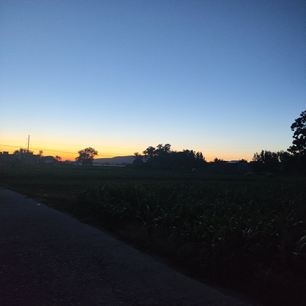 breeze169's tweet photo. (՞•Ꙫ•՞)ﾉ https://t.co/whWYAOfLFr
