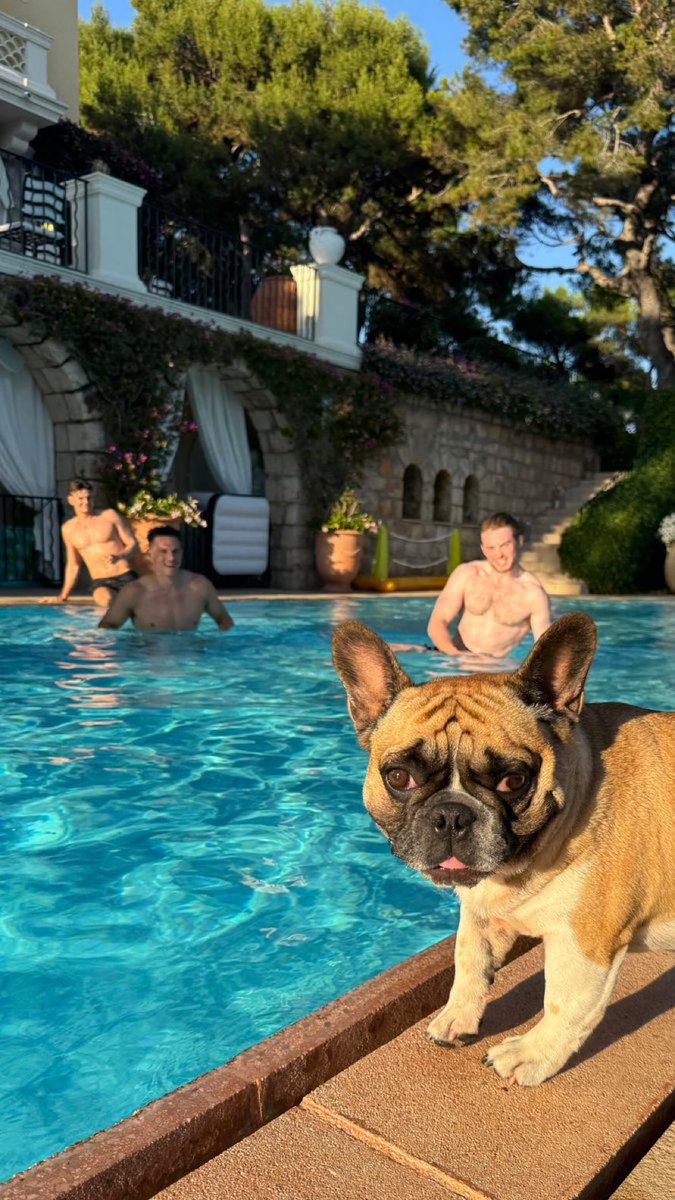 Ain’t no one looking at that fucking dog