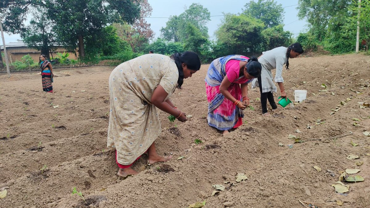 CSIR Floriculture Mission tweet media
