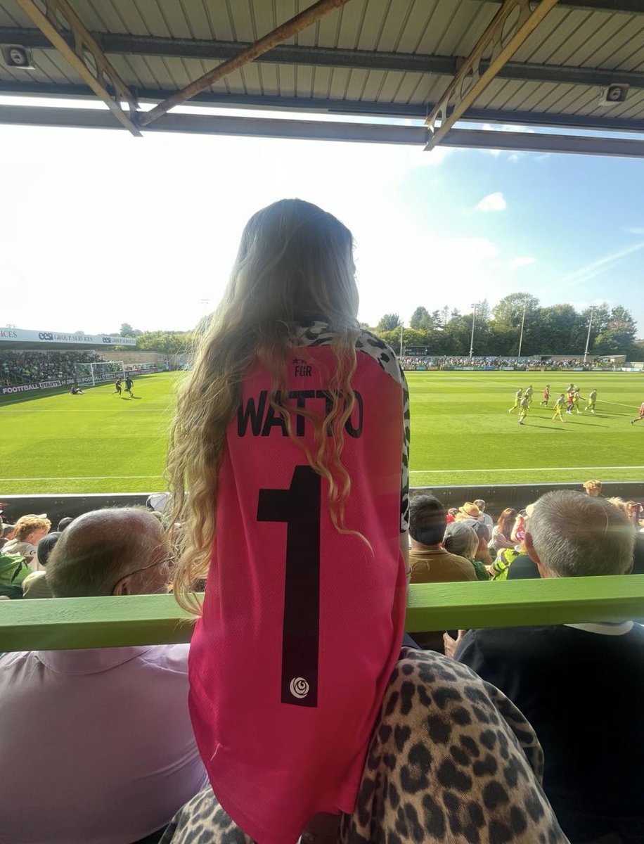 DAN WATSON tweet media