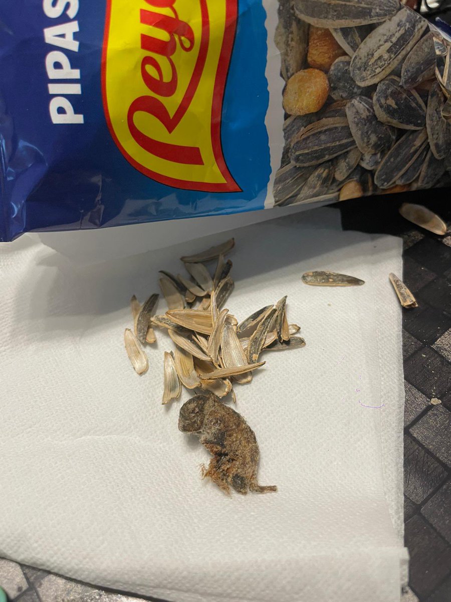 Me estaba comiendo un paquete de pipas con mis colegas viendo el barsa y a mitad de paquete mi colega coge lo que cree que es un “pegote”. Lo deja donde estan las cáscaras y mi otro colega lo empieza a mirar y… un puto ratón macho. <a href="/pipas_reyes/">Frutos Secos Reyes</a> alguna explicación?