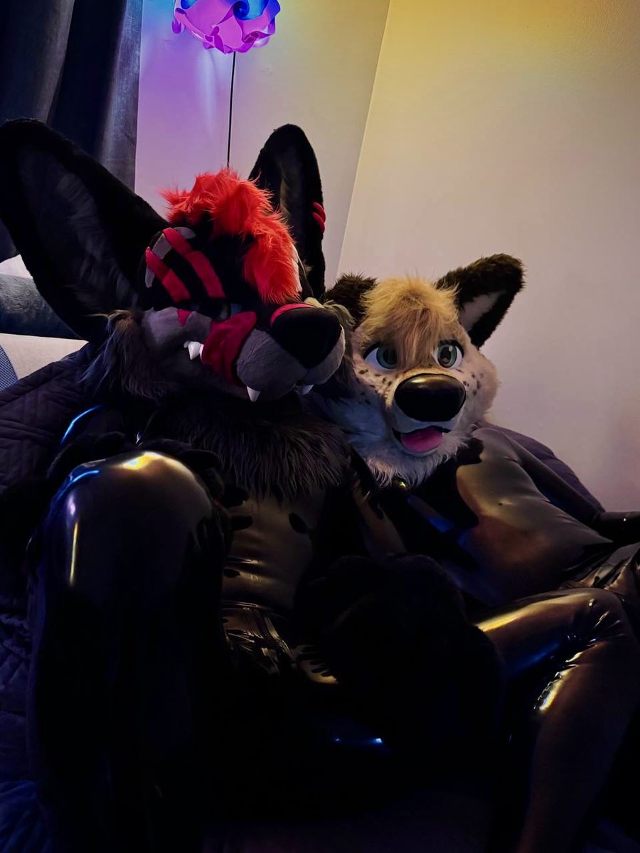 #ShinySaturday mood activated ✨

🐶🧡🖤:  <a href="/The_cute_collie/">Bax</a> 
📸: <a href="/Blep_Fox/">Blep 🇨🇦🏳️‍🌈🦊</a> 

#SqueakySaturday