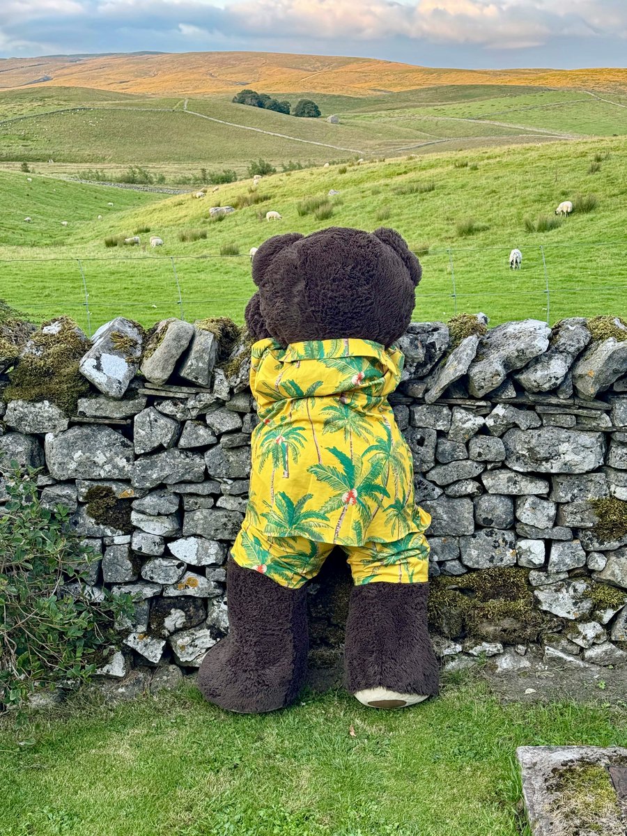 Scrappy was very excited to head up the dale to see his lovely Auntie Katie, who lives in the most beautiful place. <a href="/gauberbunkbarn/">Gauber Bunk Barn & Den</a>