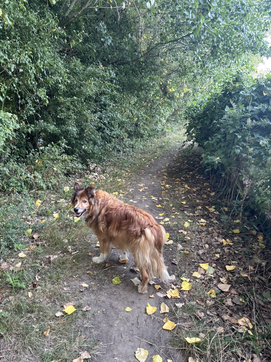 Tanya Ferry tweet media