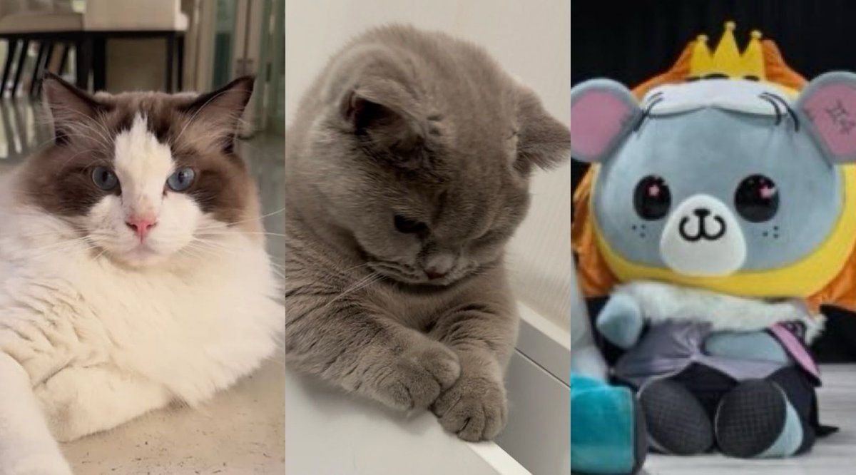 พี่คนโต                     ลูกคนกลาง                น้องคนเล็ก