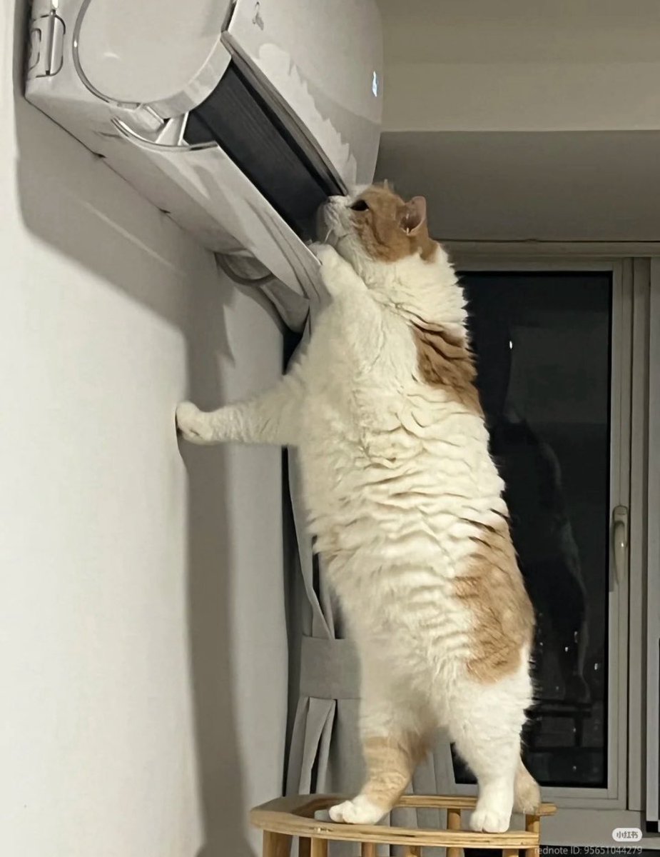 شباب جبته يصلح المكيف بس ما معه معدات ما معه شيء ومايعرف عربي الله يقلعه ندمت