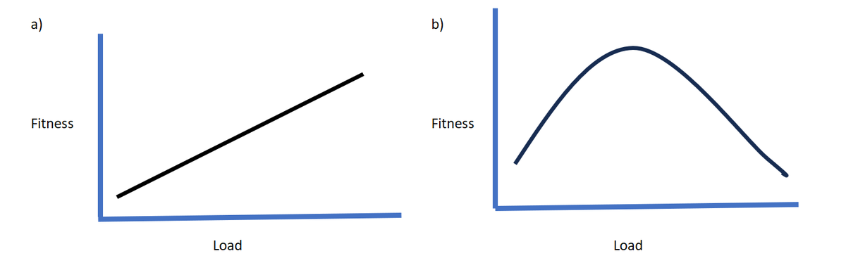 Alan Couzens tweet media