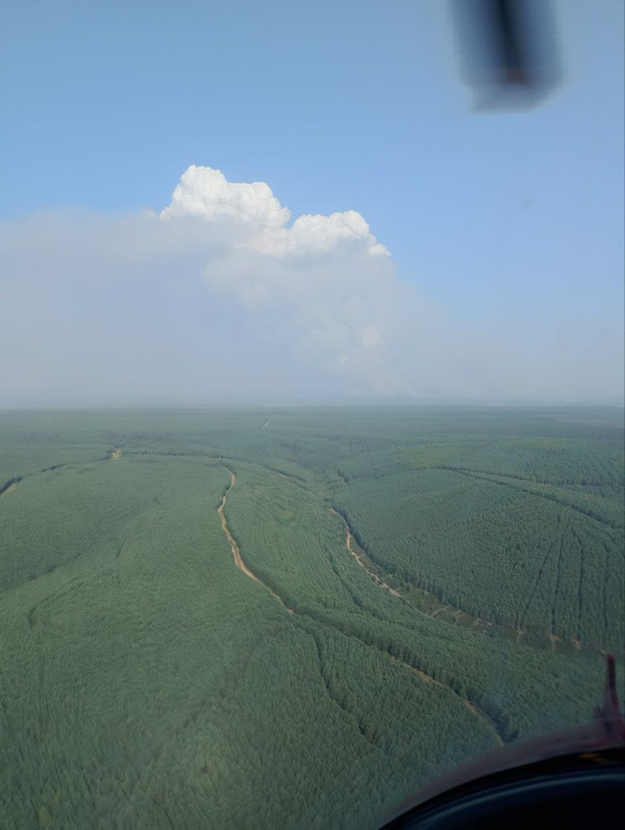 _LuseR_'s tweet photo. #IFCanalejas
Otro puto KRAKEN, joder!!!!
Finalizando contrafuego en #IFOrallo desde la mañana y volando en L4 a toda vela para llegar y ver ésto: viví 13 años en #Riocamba
#LeónSeQuema
#LeónSeQuema
#LeónSeQuema https://t.co/3RGeEfZwWB