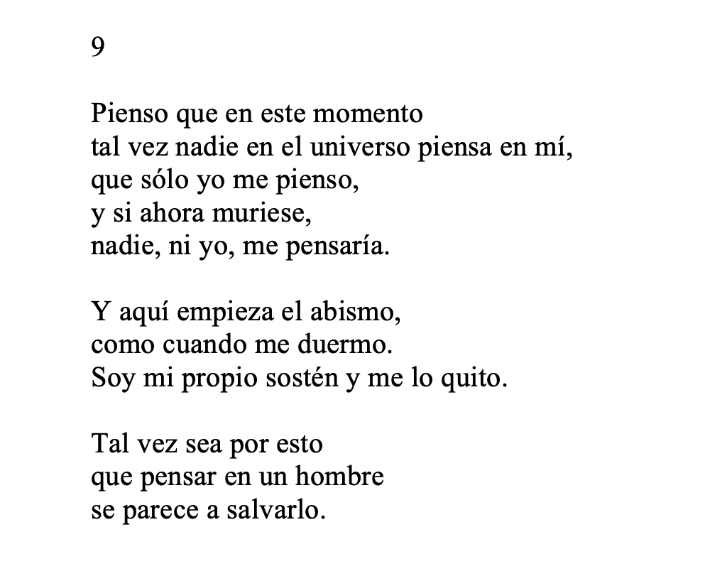 roberto juarroz (en poesía vertical, I)