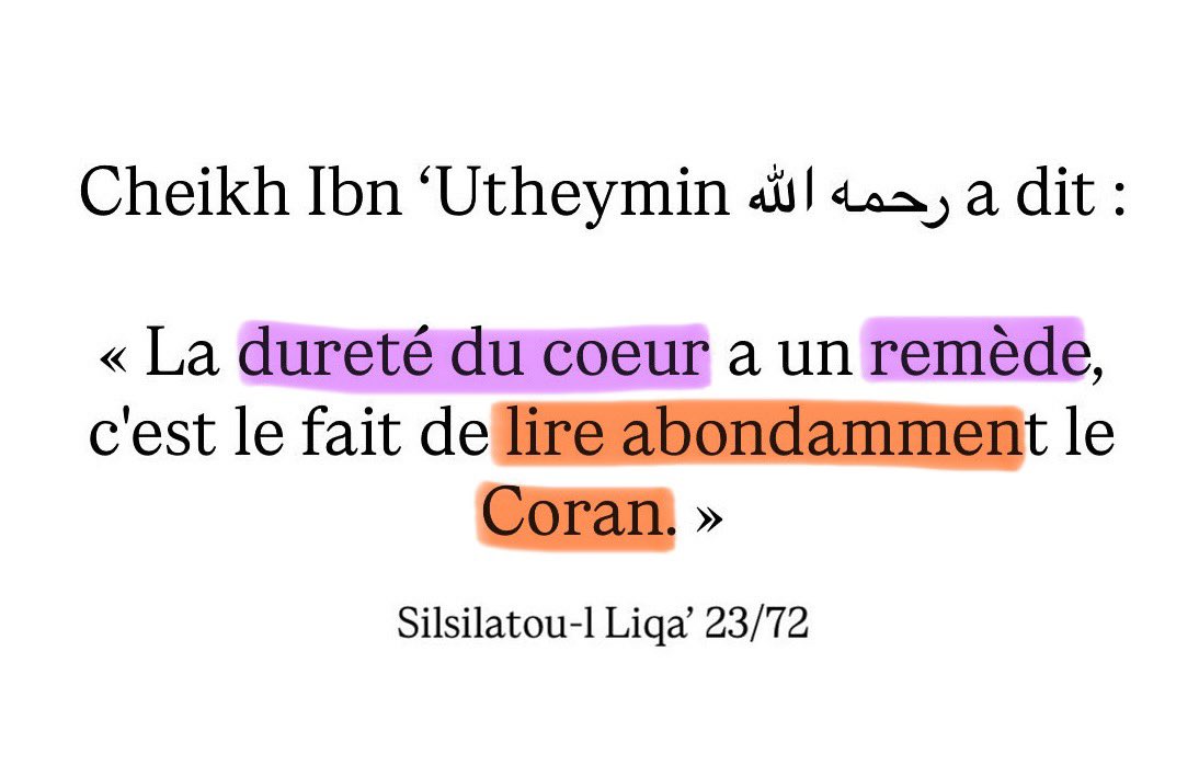 Baji⚡️ tweet media