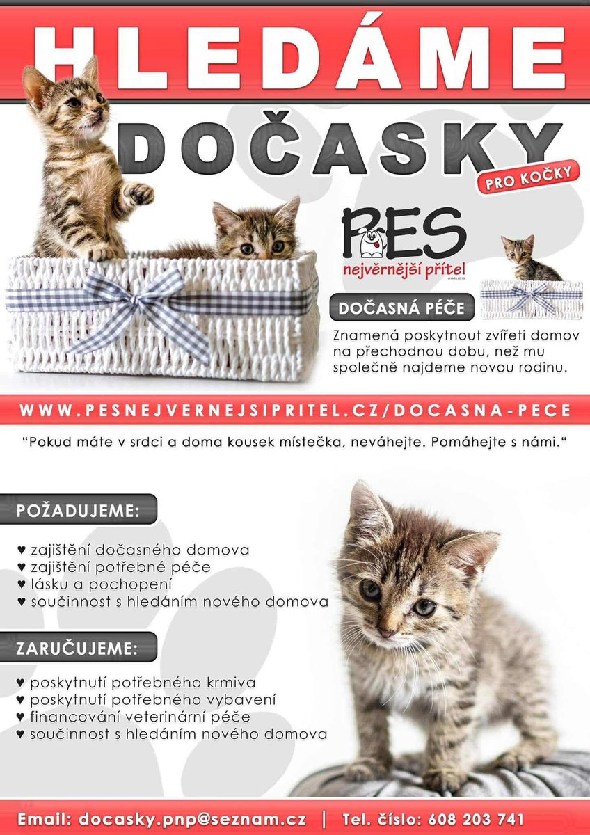 Hledáme dočasnou péči pro kočky! 🐾

Kousek místa u vás = šance na nový život pro kočku. 🐾
Staňte se dočasnou péčí. ❤️

#DočasnáPéče #Kočky #PomocZvířatům #kockavnouzi