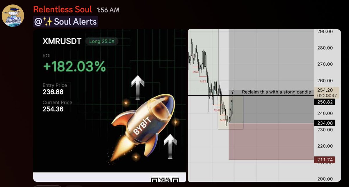 North Star ✦ tweet media