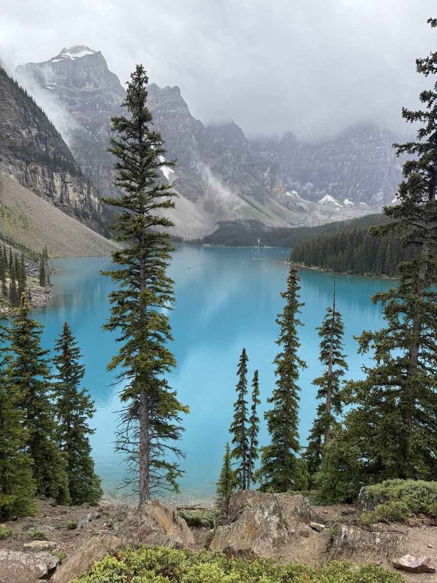 PHARM.Dabbler tweet media