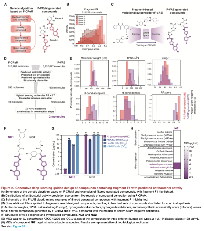 NikoMcCarty's tweet photo. Two recent papers used deep learning to either create, or discover, new antibiotics.

I'll first look at the paper that made new antibiotics from scratch (and then maybe write another post about the discovery paper.) The crazy thing about this paper, in particular, is that they screened 45 million chemical "fragments" entirely in silico and made a new antibiotic that is:

i) Structurally dissimilar from all known antibiotics.
ii) Seems to work through a mechanism of action to which resistance has not yet evolved.

...and also, importantly, the whole process is repeatable and could be adapted for other antibiotics.

More specifically: The team, from MIT (and now at Integrated Biosciences, Inc.) started with models that had previously been "trained and benchmarked on...growth inhibition data for 38,765 compounds screened against" two microbes: N. gonorrhoeae and Staph. aureus.

(The same group of researchers made that model for a previous paper, published in Nature in 2024:
https://t.co/7wOaRrcC2c)

Next, they built a database of >45 million chemical fragments "with chemically meaningful structures," and automatically compared them to a "manually compiled set of 559 known antibacterial compounds." They did this step to make sure that their generated batch of 45 million chemical fragments would stretch into chemical space that is not widely covered by existing molecules. They wanted to sample a wide swath of chemical space, in other words.

Then, the authors "virtually screened" this large fragment library using models called Chemprop, which predict whether each molecule is likely to have antibiotic activity. More than 1 million molecules passed this filter. After filtering out molecules likely to be toxic, and running other generative ML algorithms to refine these molecules, they obtained a few hundred molecules.

Finally, they selected 80 compounds that were "structurally dissimilar from each other and had the highest predicted antibacterial scores," of which just TWO could be synthesized with high purity. Those two molecules were called NG1 and NG2. (They tried to synthesize 27 compounds in total, but NG1 and NG2 were the only ones with purities >95%).

NG1, but not NG2, inhibited growth of N. gonorrhoeae in the laboratory. Also, it did not seem to inhibit other microbes, meaning it has a narrow-spectrum of activity. After doing some other experiments, the paper fairly conclusively shows that "NG1 is antibacterial against multidrug-resistant and pathogenic strains of N. gonorrhoeae, suggesting that it might act through a mechanism of action to which resistance has not yet evolved."

In other words, the authors made an antibiotic, using computational methods, that is extremely distinct, structurally, from all known antibiotics and which may act through an entirely uncharacterized mechanism. That is amazing.

Another cool thing about this paper is that the protocol to screen and make molecules is "modular," meaning you could theoretically run it again and again to find lots of antibiotics. The hard part is just building the training datasets for the graph neural networks in the first place. Keep in mind that the thing that made THIS paper possible is that these same researchers had previously collected wet-lab, experimental data on almost 40,000 compounds!

So that's the thing we probably need now for antibiotics: Huge efforts to collect wet-lab on various antibiotics, and random chemicals, against hundreds of microbial strains. All of these data should, ideally, be made public in repositories. Who is working on that?

Direct link to paper:
https://t.co/hsH9u2QBb4