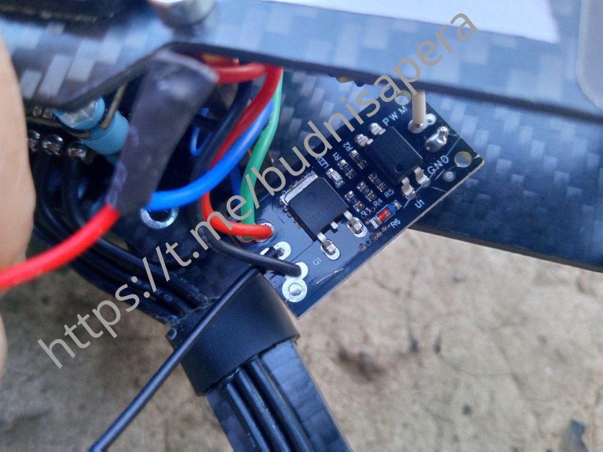 Roy🇨🇦 tweet media