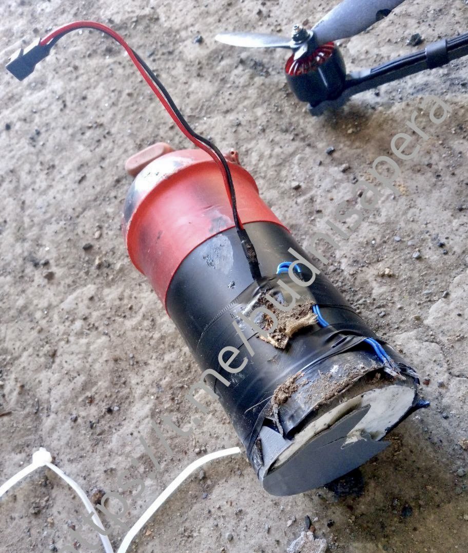 Roy🇨🇦 tweet media